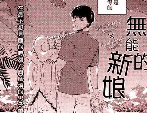 無能的新娘