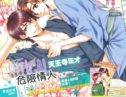 CRITICAL LOVERS