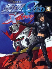 機動戰士高達SEED X ASTRAY