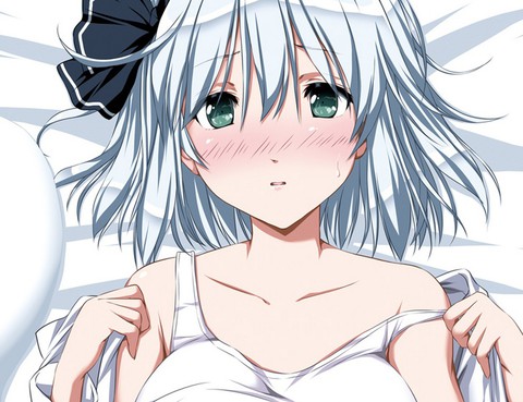 冰精妖夢