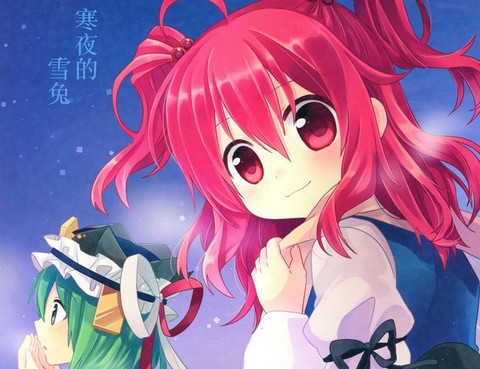 寒夜的雪兔