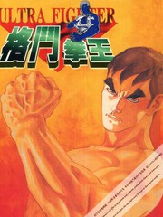 格鬥拳王
