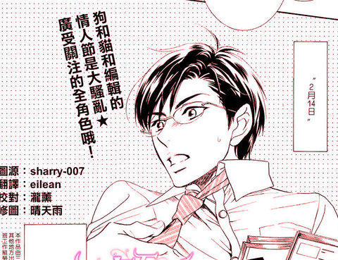 狗和貓和美好的工作