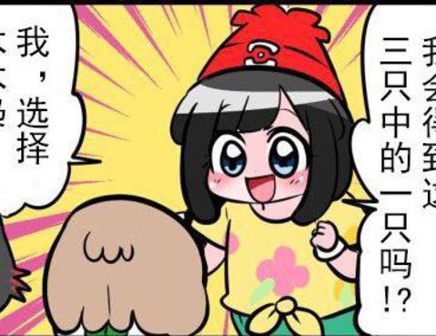 中音ナタ寶可夢四格合集