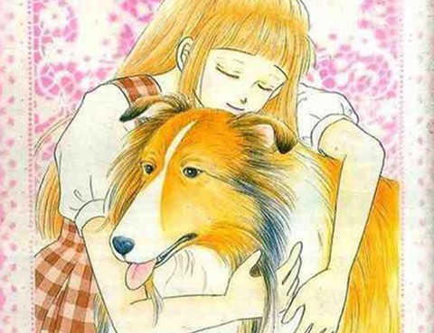 愛犬萊西